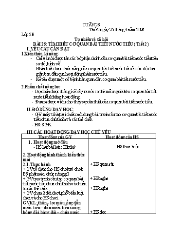Giáo án Tiếng Việt + Tự nhiên xã hội Tiểu học - Tuần 28 (Thứ 2-4) - Năm học 2023-2024 - Nguyễn Thị Yến Nhi